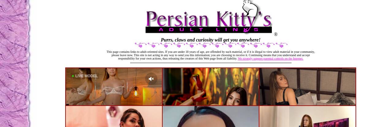 About Persian Kitty